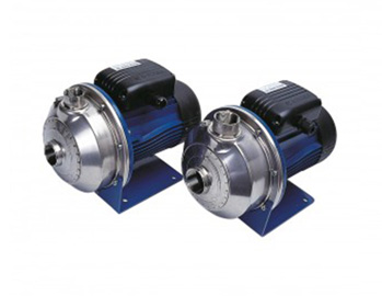 small stainless steel pumps