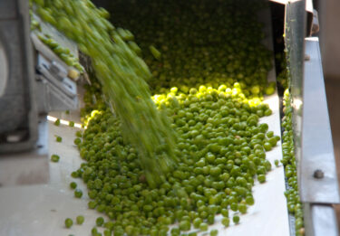 back up pea production pumps